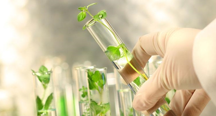 Global Renewable Chemicals Market is Projected to Grow by 11.28 percent, by 2030