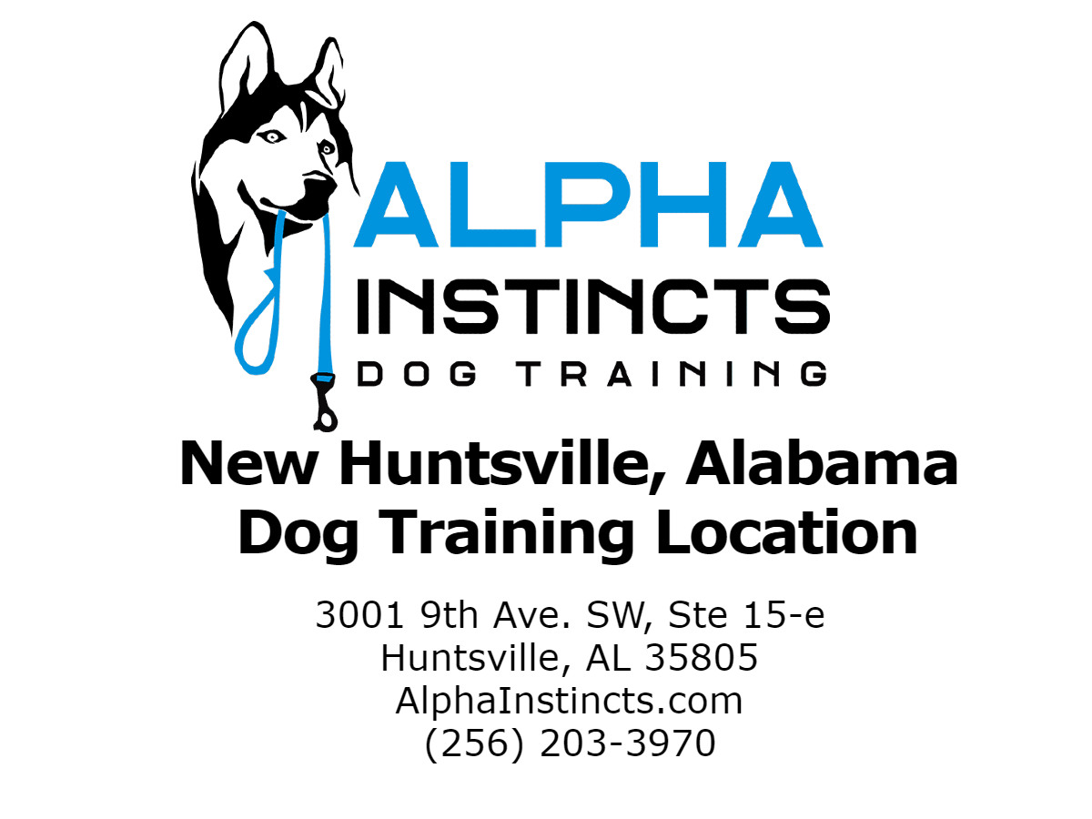 Alpha Instincts Dog Training Launches New Office Location in Downtown Huntsville, AL