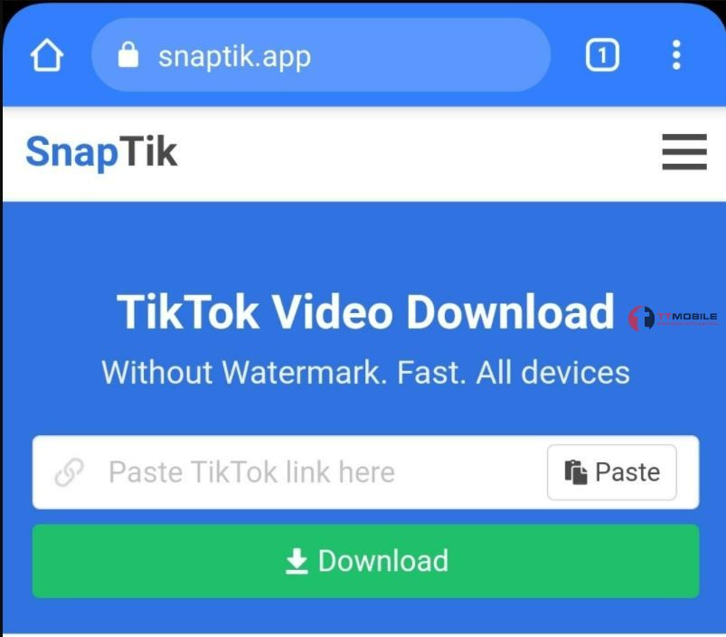 Snaptik Takes TikTok Video Download Up The Notch, Designs A Fast Way to Download  Videos Without Watermark - Digital Journal