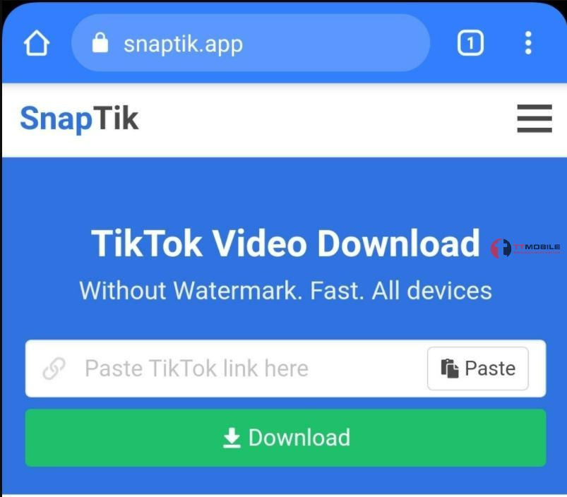 SnapTik App - Tiktok Downloader - TikTok Video Download Without Watermark  Full HD