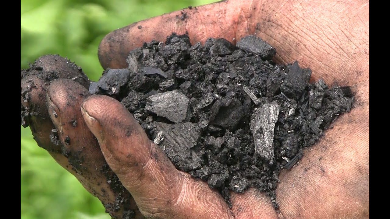 Global Biochar Market Size, Share, Growth, Industry Analysis And Forecast 2022-27