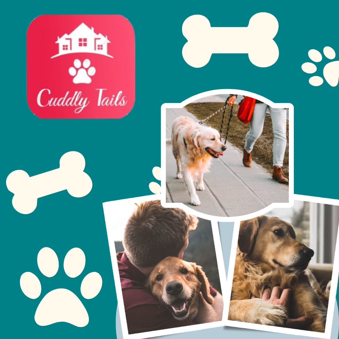 Famous 'CuddlyTails' Dog Boarding App featured in Forbes is now Launching in the West coast In California & Texas