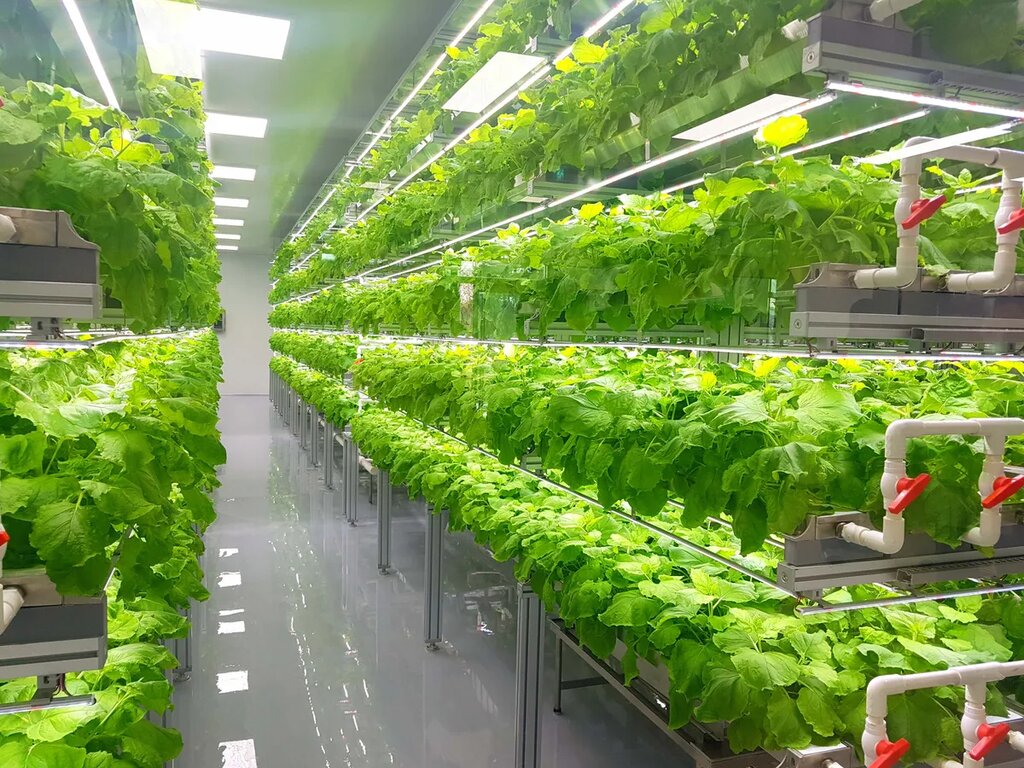 Vertical Farming Market Research Report 2022-2027: Industry Growth Statistics, Future Demand, Regional Outlook and Forecast