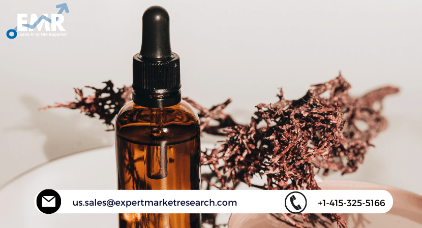 Serum Free Media Market Size, Share, Price, Trends, Growth, Analysis, Key Players, Outlook, Report, Forecast 2021-2026