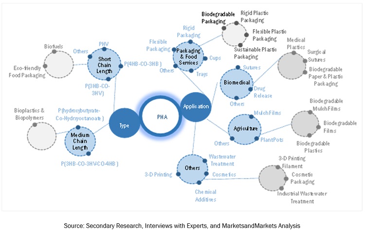 Polyhydroxyalkanoate (PHA) Market at a Significant CAGR of 15.3% by Top Competitors| Danimer Scientific, Shenzhen Ecomann Biotechnology Co., Ltd, Kaneka Corporation, RWDC Industries and others