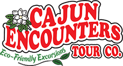 Cajun Encounters Brings Excitement and Authenticity to the New Orleans City Bus Tour Industry