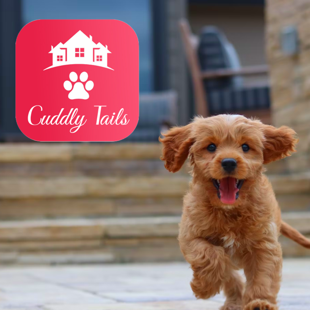 Cuddlytails, the leading provider of Dog Boarding, Walking, and Sitting services, Previously featured in Forbes, is excited to announce the addition of new services to its lineup. 