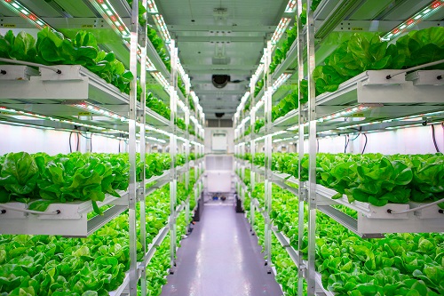 Indoor (Vertical) Farming Market Report 2022-2027: Industry Demand, Leading Companies Share, Growth Statistics, and Forecast