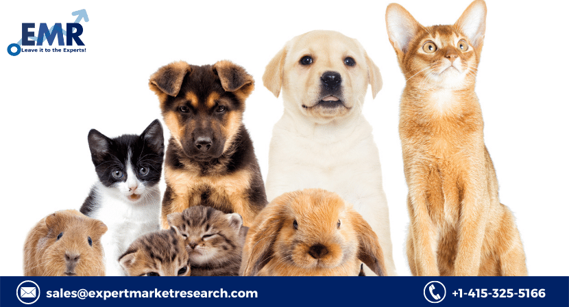 Pet Tech Market Size, Share, Price, Trends, Growth, Analysis, Key Players, Outlook, Report, Forecast 2021-2026