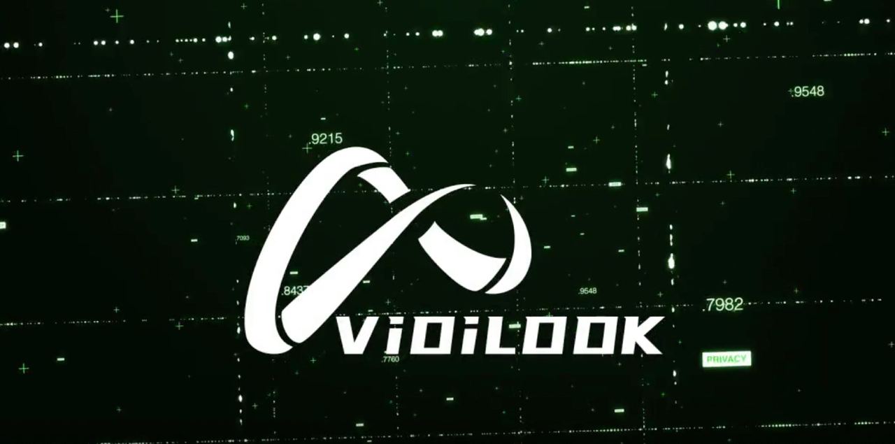 vidilook