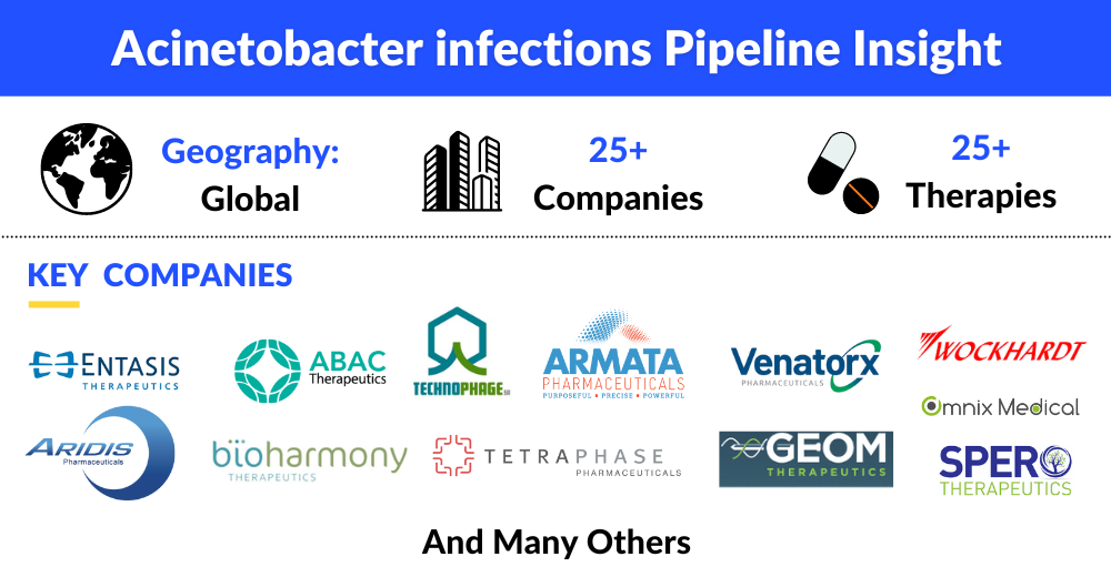 Acinetobacter infections Pipeline Assessment - FDA, EMA, and PMDA Approvals, Emerging Drugs, Clinical Trials, Therapeutic Analysis, Growth Prospects, and Key Companies by DelveInsight