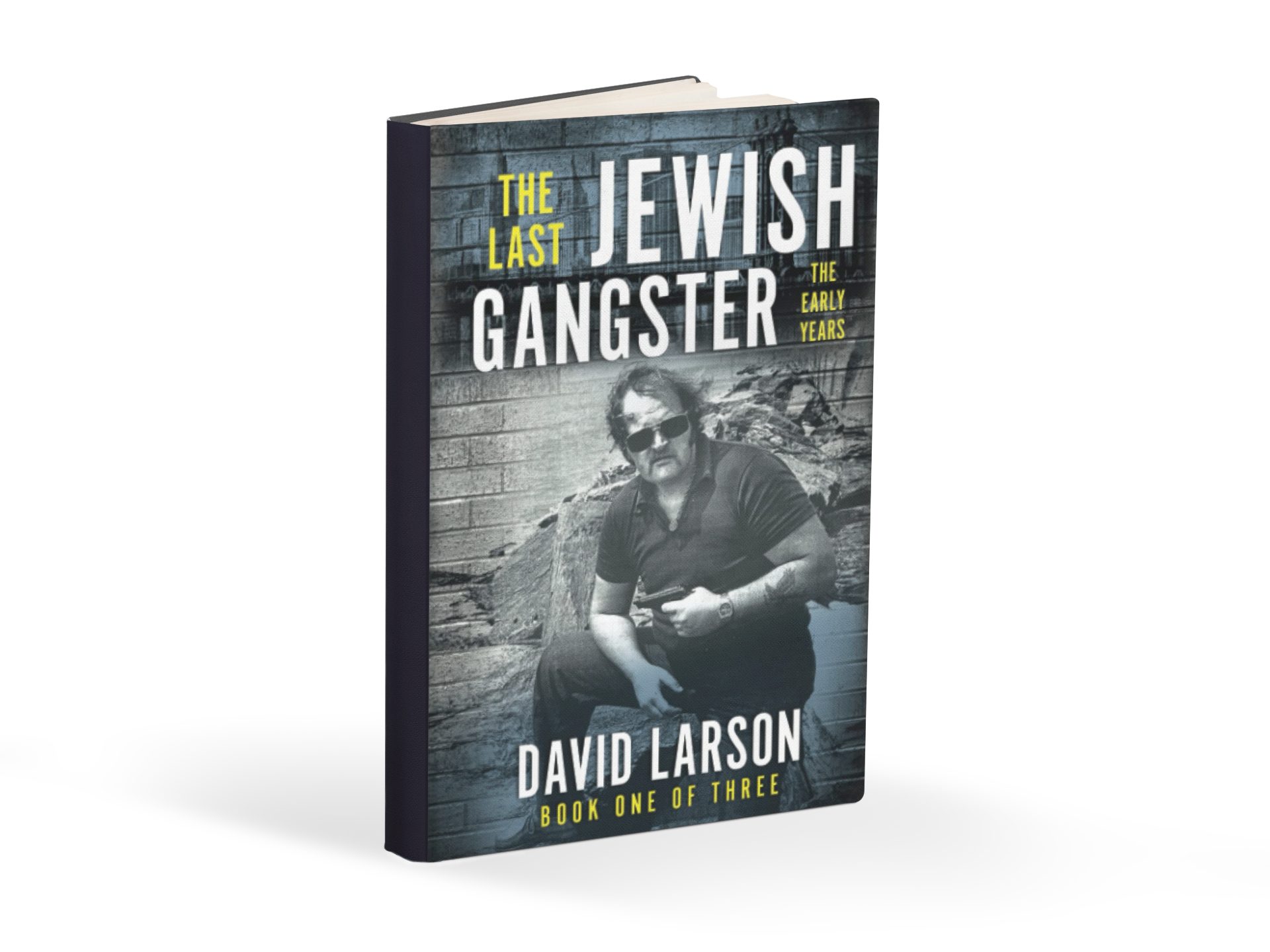David S. Larson Tells the Story of Mob Son Michael Hardy in the Last