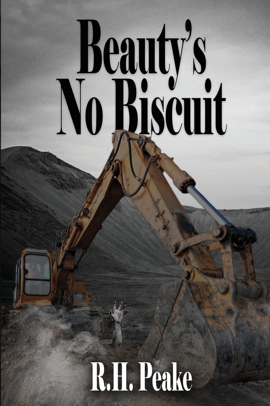 Author’s Tranquility Press Publishes R H Peake’s Beauty's No Biscuit