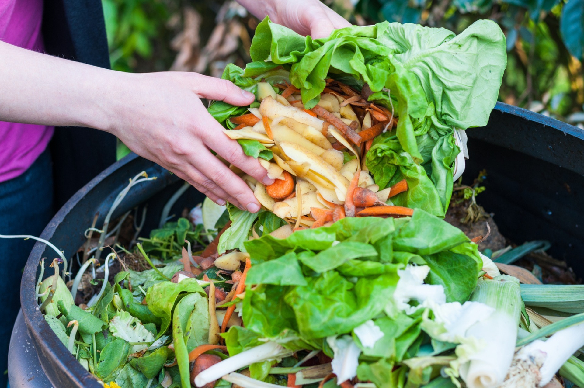 Food Waste Management Market Size Expected to Growth at a CAGR of 6.2% | Forecast Report 2022-2027