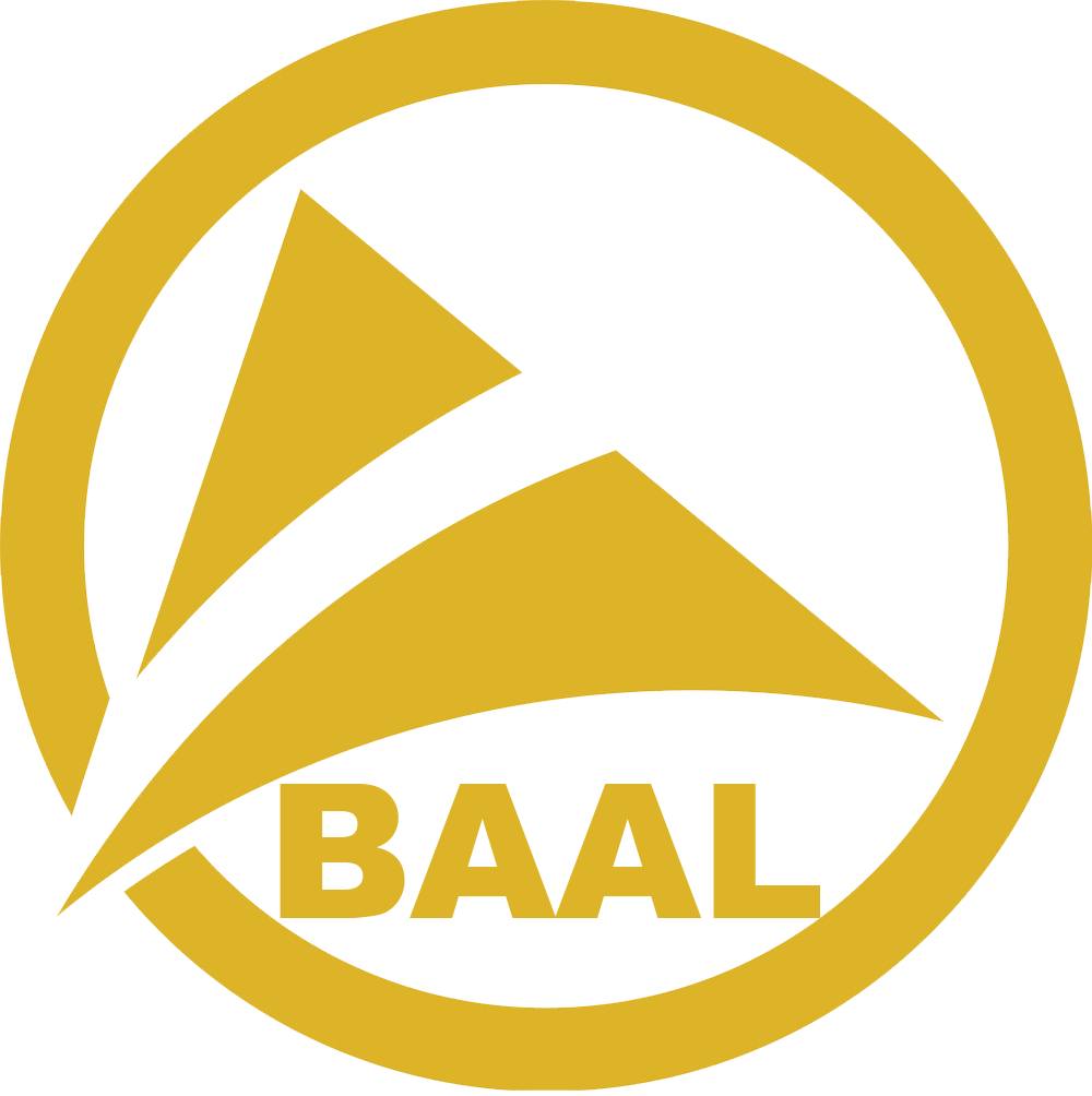 BAAL token brings a risk-free investment solution for Crypto Investors