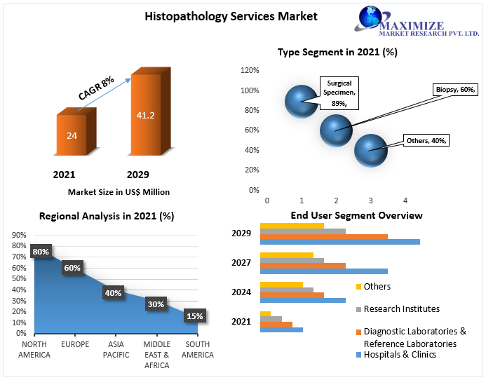 Histopathology Services Market worth USD 41.2 Mn by 2029 Competitive Landscape, New Market Opportunities, Growth Hubs, Return on Investments
