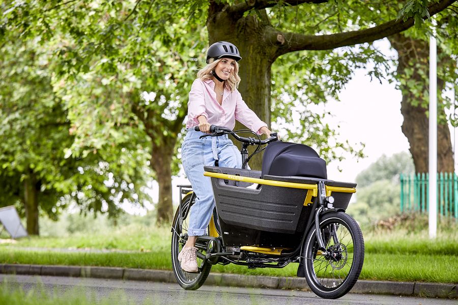 Electric Cargo Bike Market Report 2022-2027: Top Companies Share, Size, Future Trends, Growth Overview, SWOT Analysis, and Forecast
