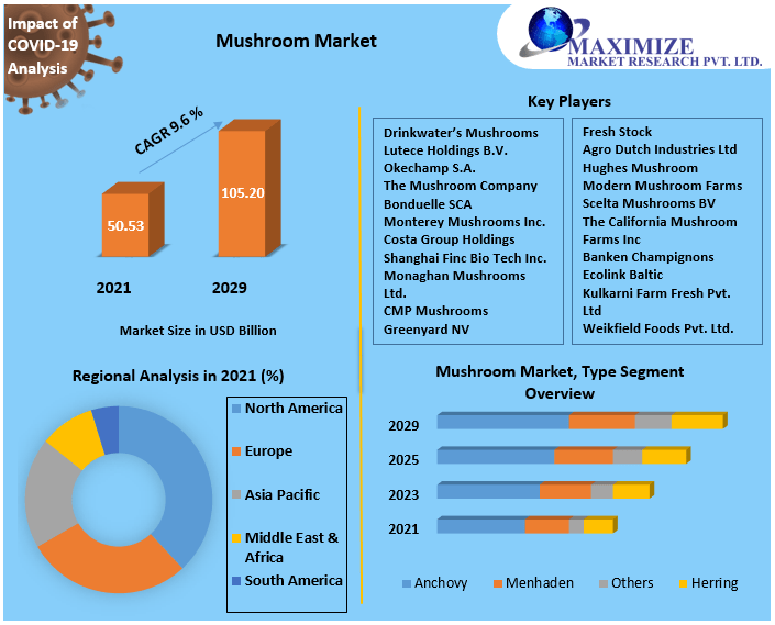 Mushroom Market worth USD 105.20 Bn. by 2029 Growth, Size, Share, Trends, Forecast, and Key Players