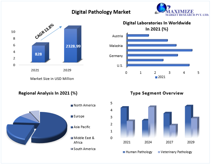Digital Pathology Market to Hit USD 2328.99 Mn by 2029 Competitive Landscape, New Market Opportunities, Growth Hubs, Return on Investments
