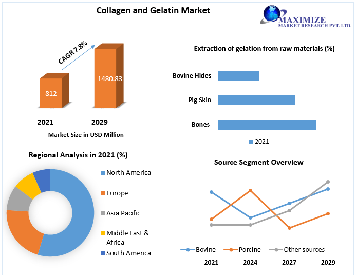 Collagen and Gelatin Market expected to reach USD 1480.83 Mn by 2029 Changing Consumer preferences, Veganism and Growth Hubs  