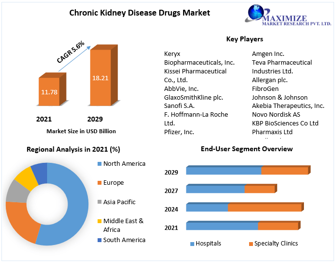 Chronic Kidney Disease Drugs Market to Hit USD 18.21 Bn and Emergent at Growth Rate of 5.6 percent by 2029 Competitive Landscape, New Market Opportunities, Growth Hubs, Return on Investments.