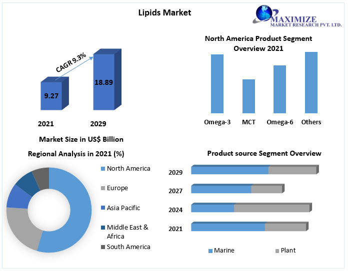 Lipids Market to reach USD 18.89 Bn by 2029 Industry Growth Factors, Key Drivers and Revenue Growth Outlook