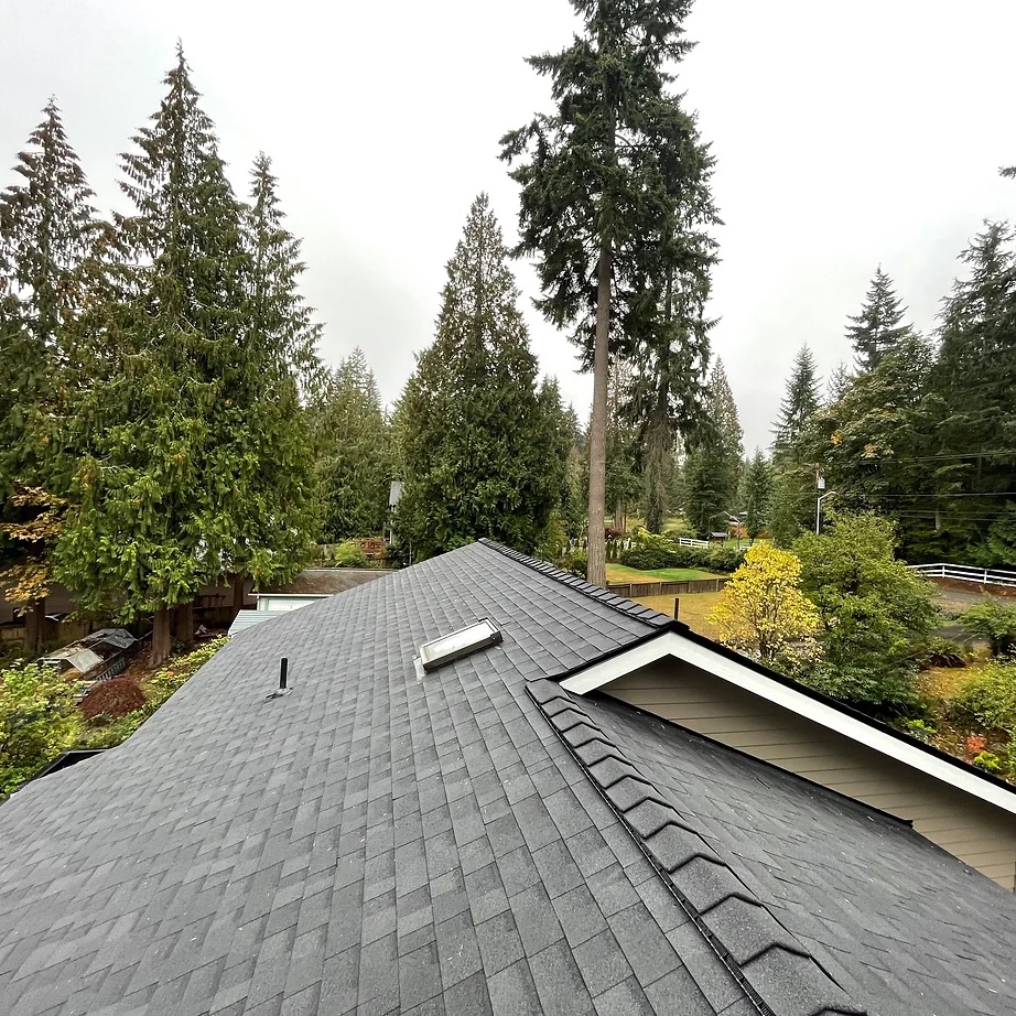 Meet Northern Seattle’s Trusted Roofing and Siding Company
