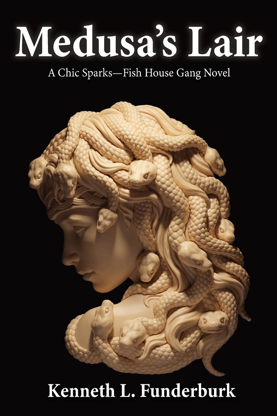 Medusa's Lair: A Gripping New Thriller from Author's Tranquility Press