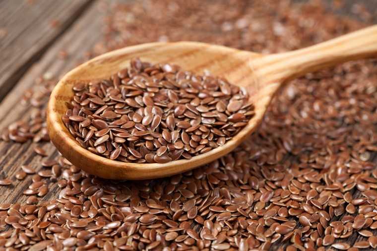 Plant Based Omega Flaxseed Market to See Huge Growth by 2027 | Stober Farms, Healthy Food Ingredients, AgMotion