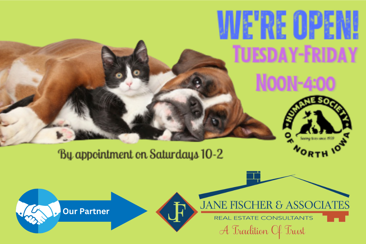 Jane Fischer & Associates Partners with Local Iowa Animal Shelter to Sponsor One Animal Adoption Per Month