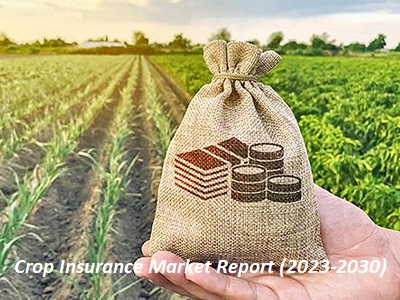 Crop Insurance Market Worth Observing Growth: The New India Assurance, QBE Insurance Group, Santam