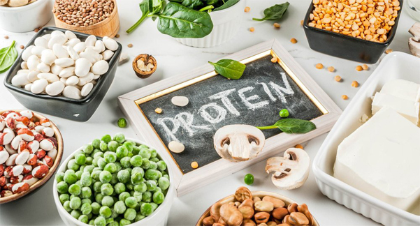 Protein Ingredients Market Size, Share, Trends, Industry Analysis Report 2022 to 2027