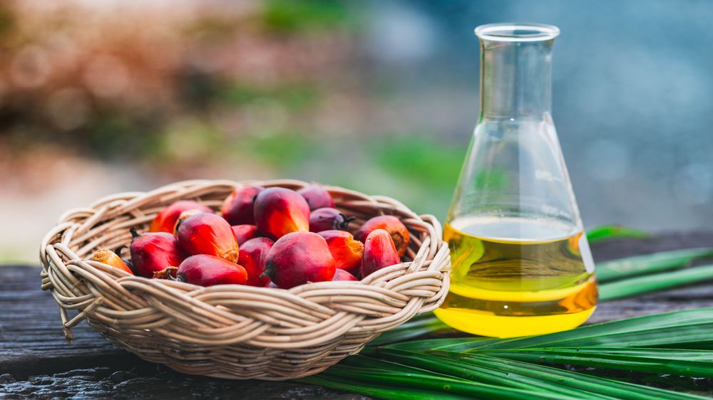 Palm Oil Market Estimated to Exceed US$ 67.6 Billion Globally By 2028 | CAGR of 4%