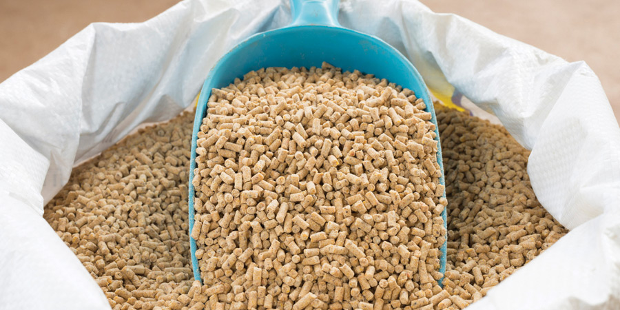 Indian Animal Feed Market 2023-2028: Industry Demand, Growth Analysis, Top Companies Share, Size and Forecast Report