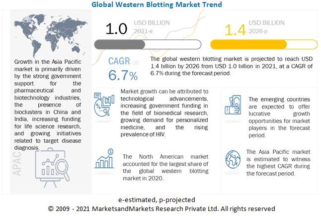 Western Blotting Market Worth $1.4 billion by 2026: Progressive Trends, Growth Opportunities and Revenue Forecast