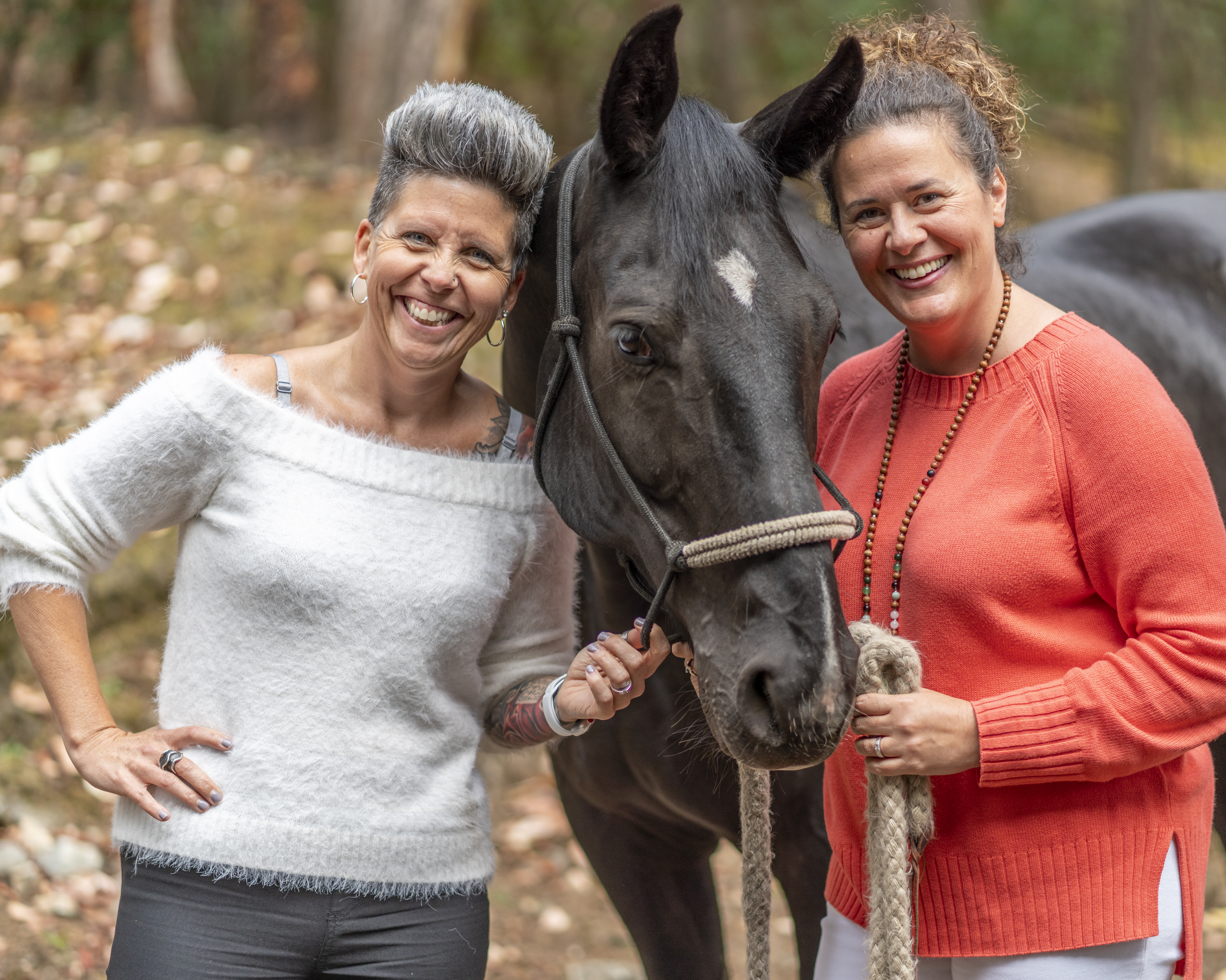 LeapZone Strategies launches a ‘Horse Powered’ Accelerator Experience backed by a $100,000 grant for business leaders who are transforming the world to a better future