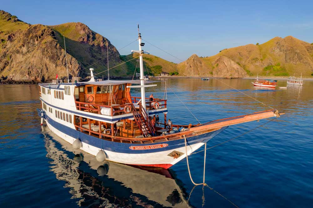 Neptune Liveaboards Announces an Unparalleled Underwater Experience