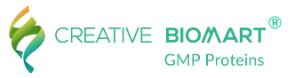 Creative BioMart Released New Safe and Traceable Recombinant GMP Proteins