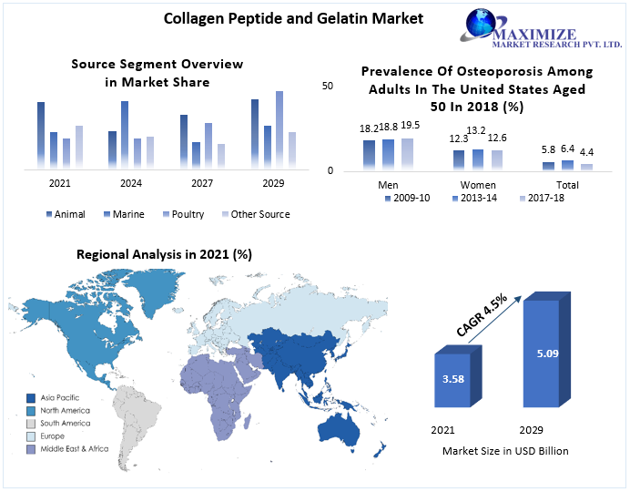 Collagen Peptide and Gelatin Market to Hit USD 5.09 Bn by 2029: Competitive Landscape, Industry Analysis, New Opportunities, Dynamics and Regional Insights 
