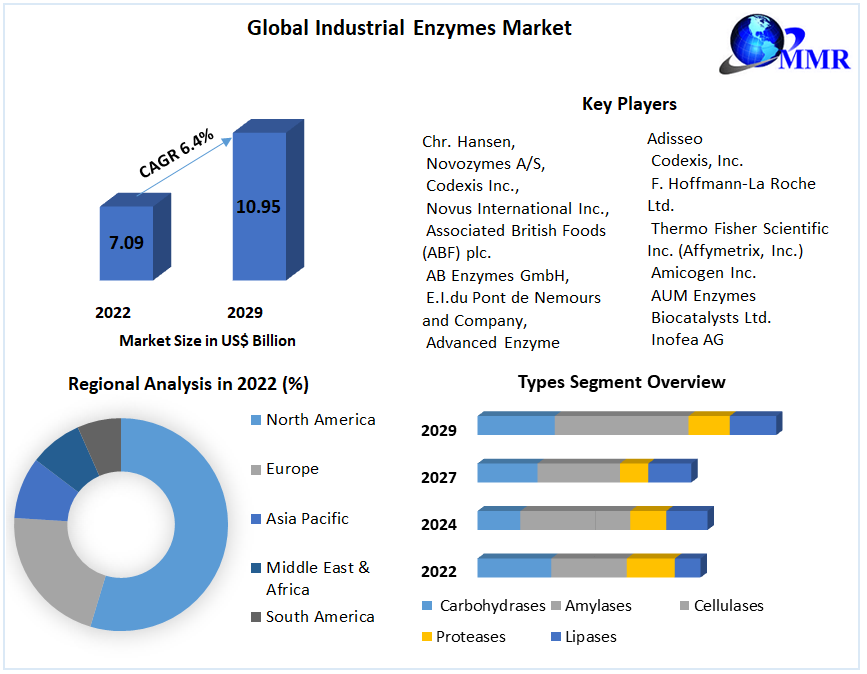 Industrial Enzymes Market to grow at a CAGR of 6.4 percent during the forecast period to reach USD 10.96 Bn by 2029, Market Share and Size 