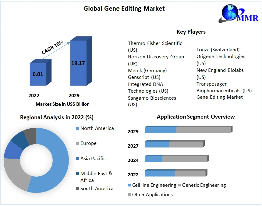 Gene Editing Market to Hit USD 19.17 Bn by 2029: Competitive Landscape, Industry Analysis, New Opportunities, Dynamics and Regional Insights 