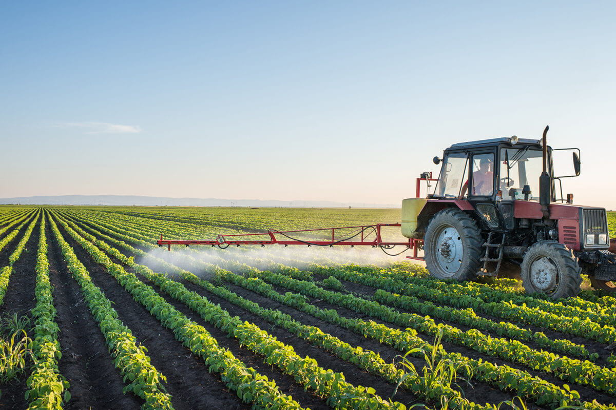 Crop Protection Chemicals Market Report, Value, Demand, Size, Top Leaders Share, & Forecast 2023-2028