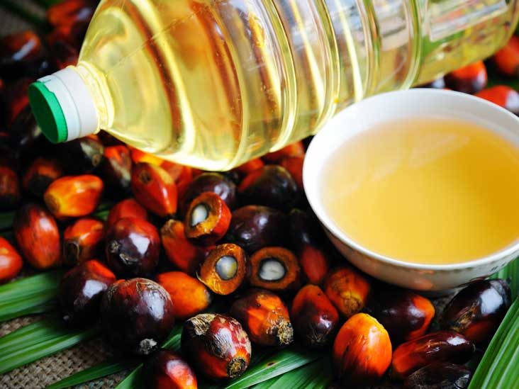 Indonesia Palm Oil Market Size, Share, Growth Rate, Price Trends, Demand and Forecast 2023-2028