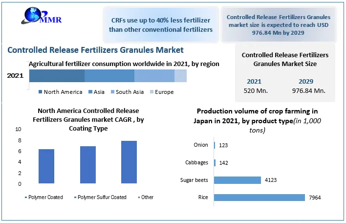 Controlled Release Fertilizers Granules Market Size to reach USD 976.84 Mn by 2029, Regional Insights and Global Trends