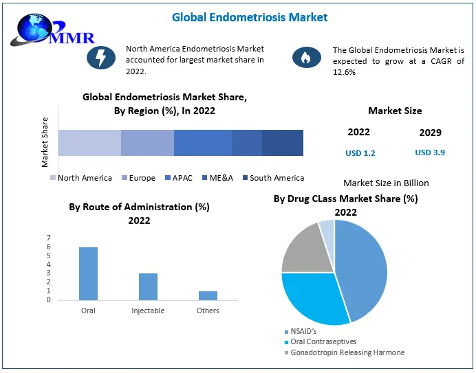 Endometriosis Market to Hit USD 3.9 Bn by 2029: Competitive Landscape, Industry Analysis, Segmentation and Regional Insights