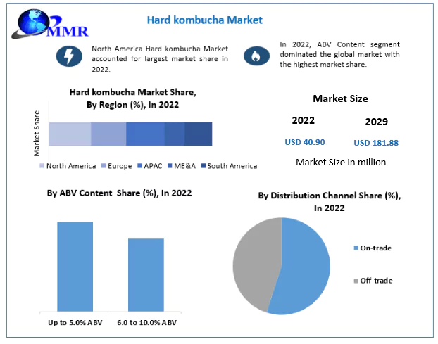 Hard kombucha Market to Hit USD 181.88 Mn by 2029: Competitive Landscape, Industry Analysis, Segmentation and Regional Insights