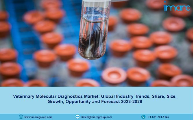 Veterinary Molecular Diagnostics Market Is Expected To Reach US$ 1,064.8 Million By 2028 - IMARC Group