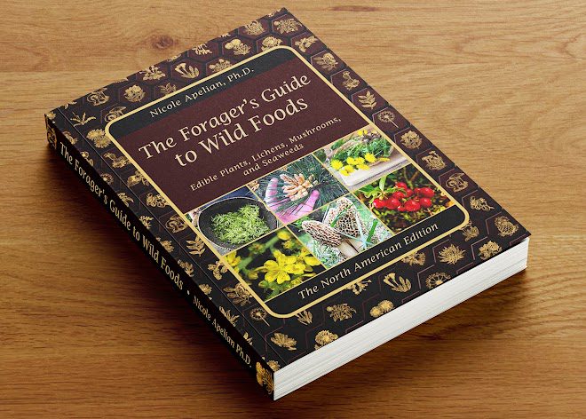Book Review: The Forager's Guide to Wild Foods