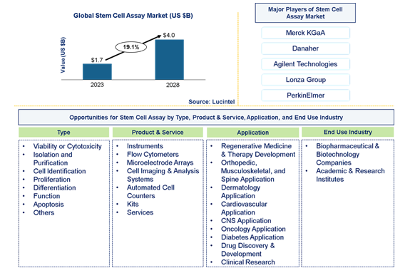 Stem Cell Assay Market is anticipated to grow at a CAGR of 19.1% during 2023-2028