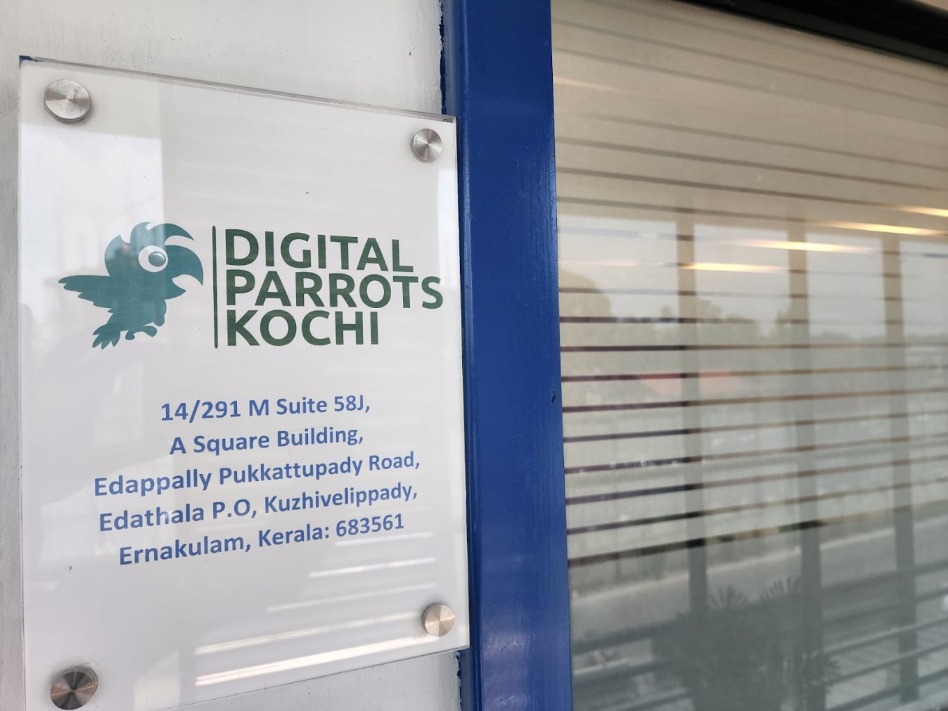 Digital Parrots Kochi: Elevating Businesses with Expert Digital Marketing Solutions